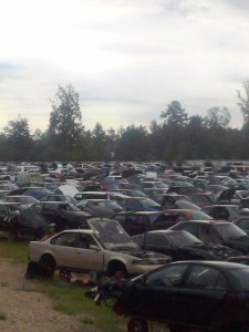 Yard Shot Photo of salvaged autos on yard